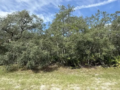 Tbd SW 146th Lane Road Dunnellon FL 34432