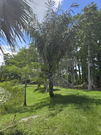 0000 B Road Loxahatchee Groves FL 33470