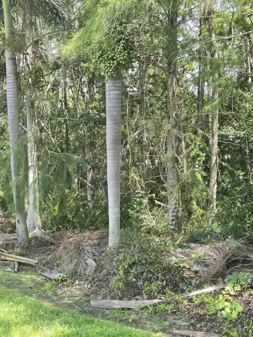 0000 B Road Loxahatchee Groves FL 33470