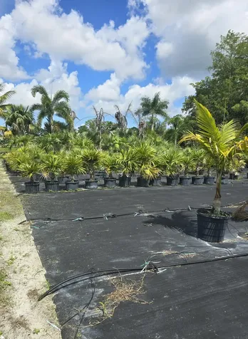 0000 B Road Loxahatchee Groves FL 33470