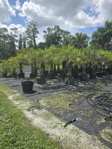 0000 B Road Loxahatchee Groves FL 33470