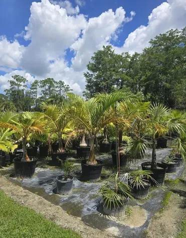 0000 B Road Loxahatchee Groves FL 33470