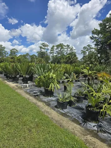 0000 B Road Loxahatchee Groves FL 33470
