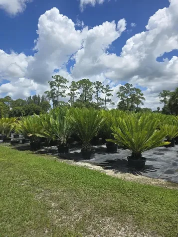 0000 B Road Loxahatchee Groves FL 33470