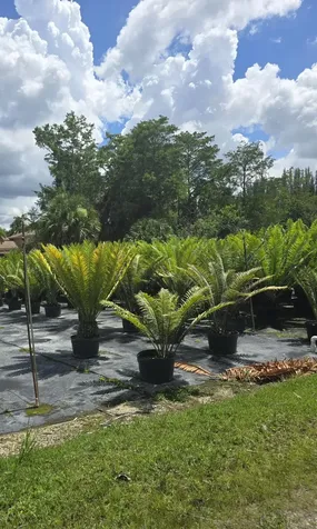 0000 B Road Loxahatchee Groves FL 33470