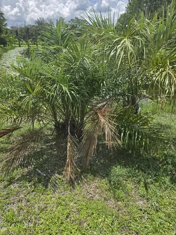 0000 B Road Loxahatchee Groves FL 33470