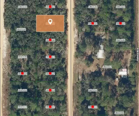 006 Creager Avenue Interlachen FL 32148