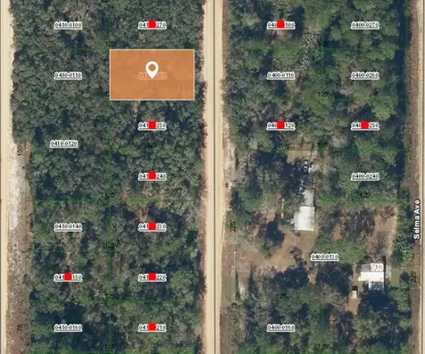 007 Creager Avenue Interlachen FL 32148