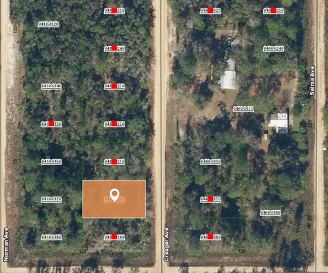 001 Creager Interlachen FL 32148