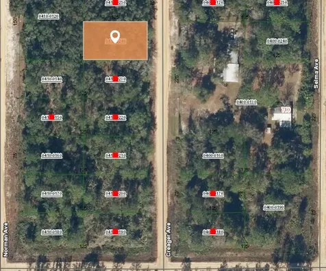 005 Creager Avenue Interlachen FL 32148