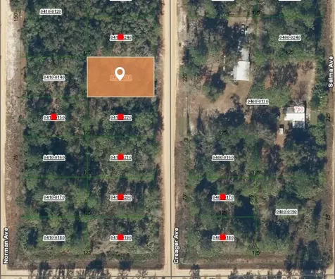 004 Creager Avenue Interlachen FL 32148