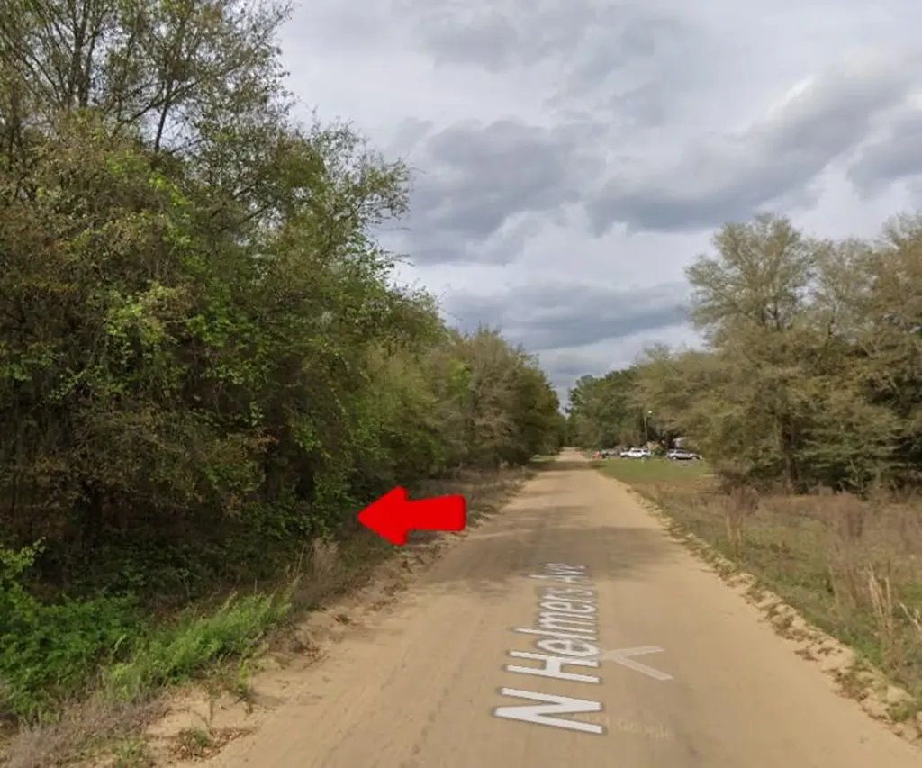 0 N Helmers Avenue Interlachen FL 32148