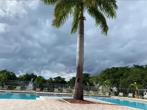 1401 Village Boulevard West Palm Beach FL 33409