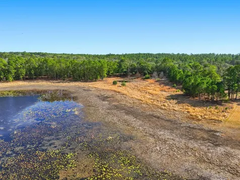 0 Windy Hills Road Hawthorne FL 32640