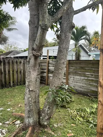 14539 Wood Pine Drive Delray Beach FL 33445