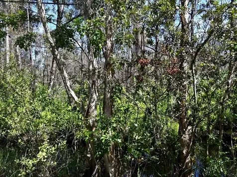 -- Dyer Road Fort Pierce FL 34952
