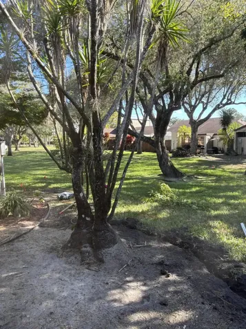 11608 Orange Blossom Lane Boca Raton FL 33428