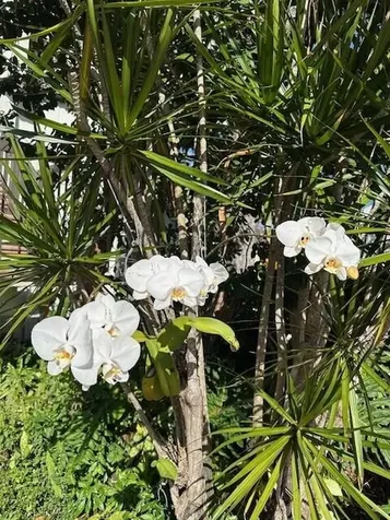 1405 Bridgewood Drive Boca Raton FL 33434