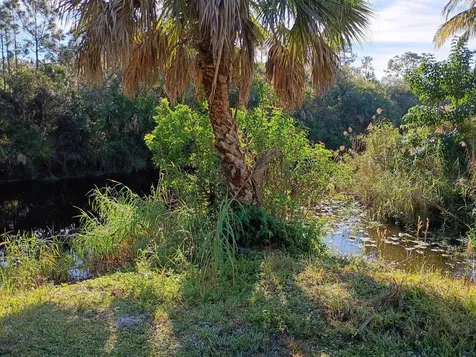 16038 Robin Way Jupiter FL 33478
