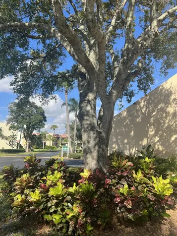 1605 S Us Highway 1 Jupiter FL 33477