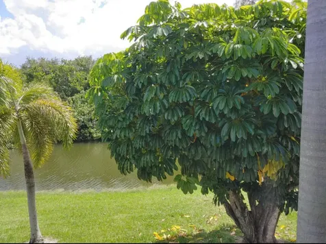 63 Windsor C West Palm Beach FL 33417