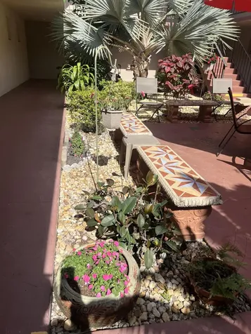 504 Davis Road Palm Springs FL 33461