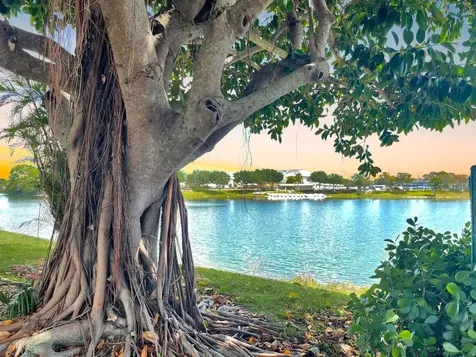 144 Canterbury F West Palm Beach FL 33417