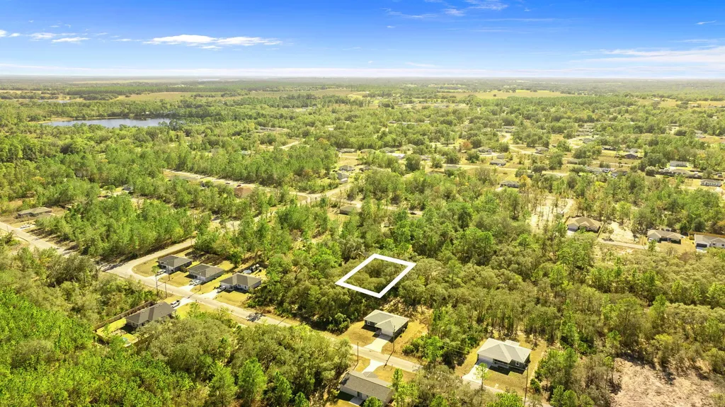 000 Tbd Ocklawaha FL 32179