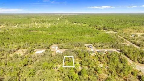 000 Tbd Ocklawaha FL 32179