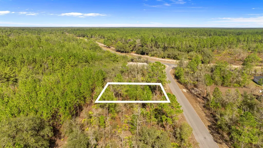 000 No Situs Ocklawaha FL 32179