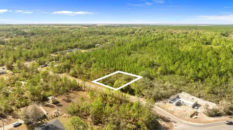 000 No Situs Ocklawaha FL 32179