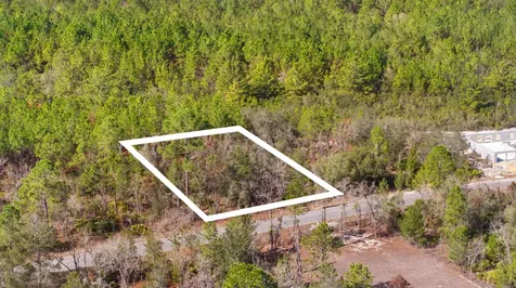 000 No Situs Ocklawaha FL 32179