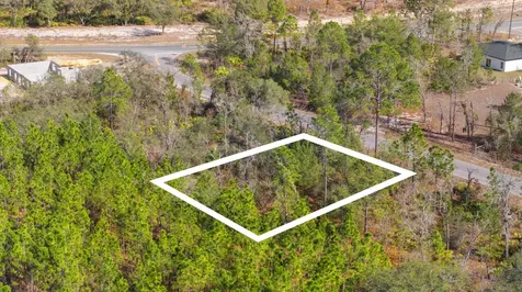 000 No Situs Ocklawaha FL 32179