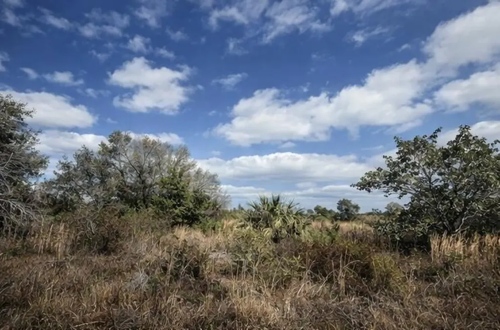 15997 NW 270th Street Okeechobee FL 34972
