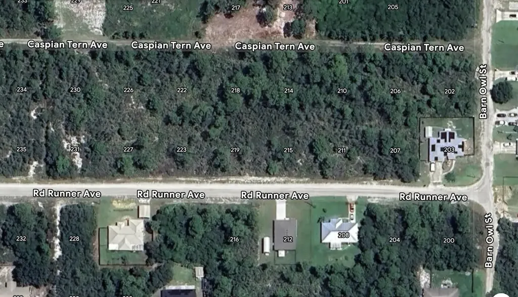 215 Roadrunner Avenue Sebring FL 33870