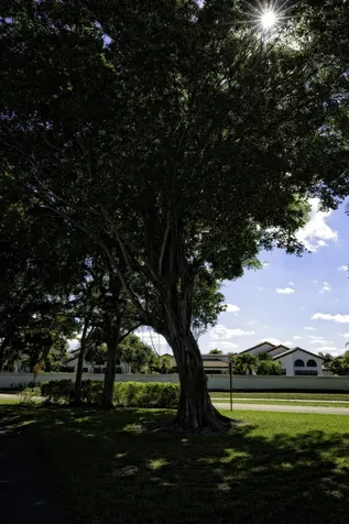6595 Parkview Drive Boca Raton FL 33433