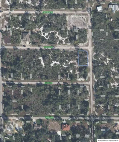 100 Tryon Avenue Lake Placid FL 33852