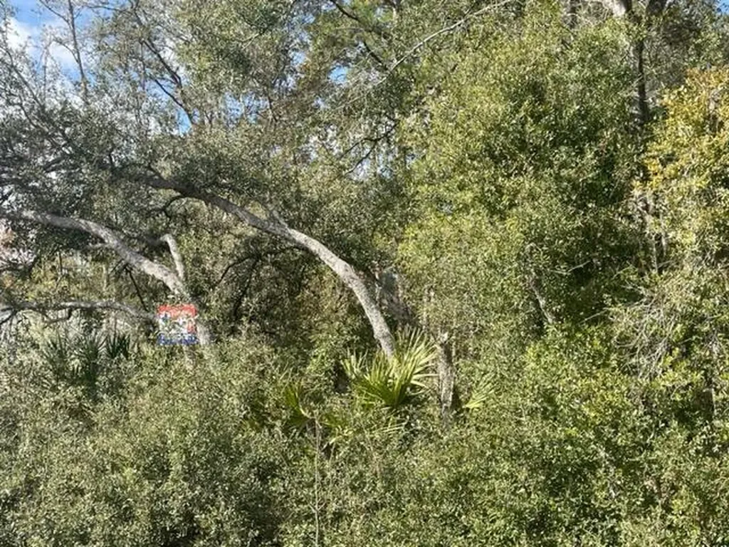000 Malauka Circle Circle Ocklawaha FL 32179