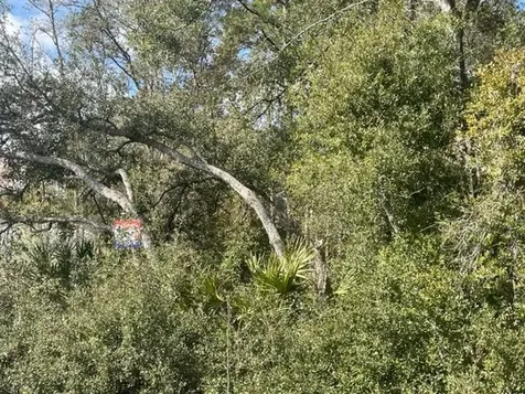 000 Malauka Circle Circle Ocklawaha FL 32179