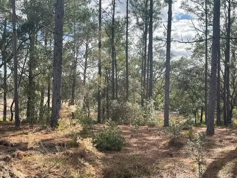 000 Malauka Circle Circle Ocklawaha FL 32179