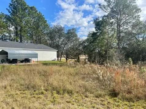 000 Malauka Circle Circle Ocklawaha FL 32179