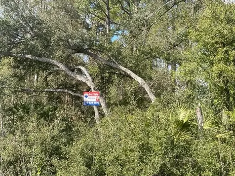 000 Malauka Circle Circle Ocklawaha FL 32179