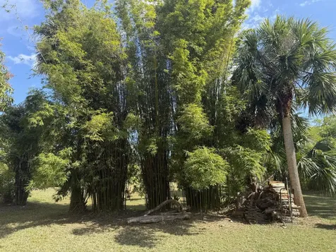 15119 98th Trail Jupiter FL 33478