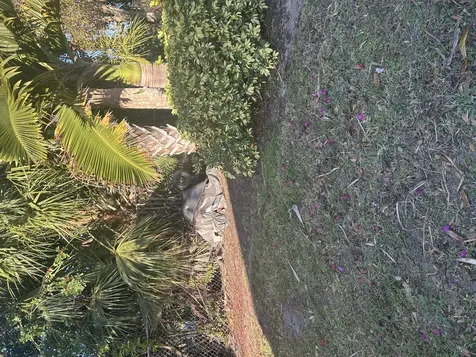 810 8th Street Lot 22 Vero Beach FL 32962
