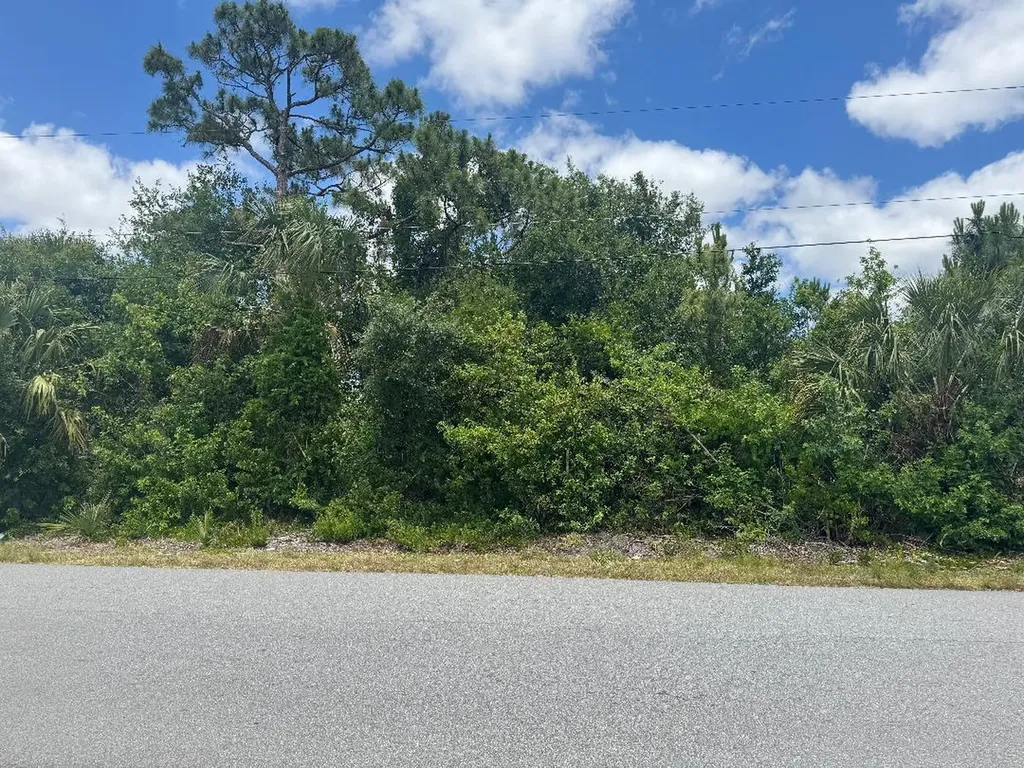 1437 Tidewell Street Palm Bay FL 32909