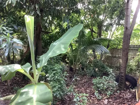 424 59th Street West Palm Beach FL 33407