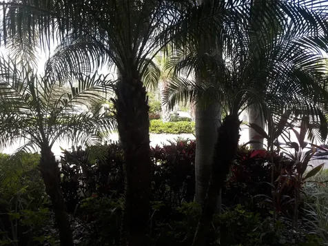 37 Harbour Isle Drive Fort Pierce FL 34949