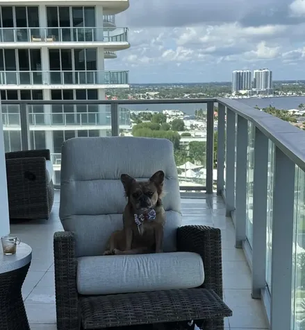 3100 N Ocean Drive Singer Island FL 33404