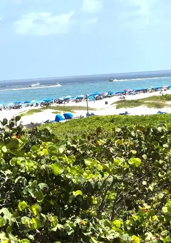 3100 N Ocean Drive Singer Island FL 33404