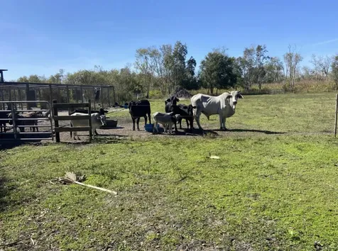 20107 NW 288th Street Okeechobee FL 34972